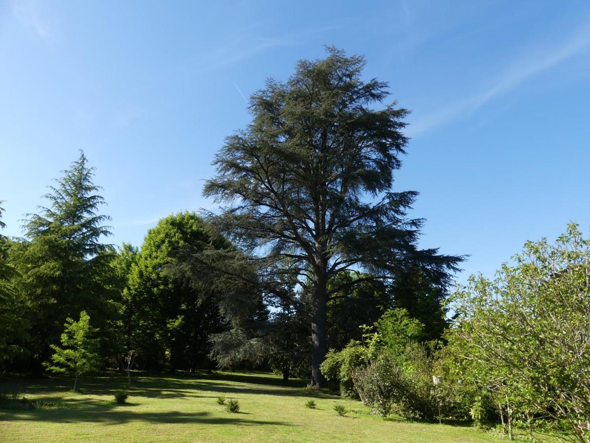 Le Petit Chateau - Adults Only Property 勒布奎 外观 照片